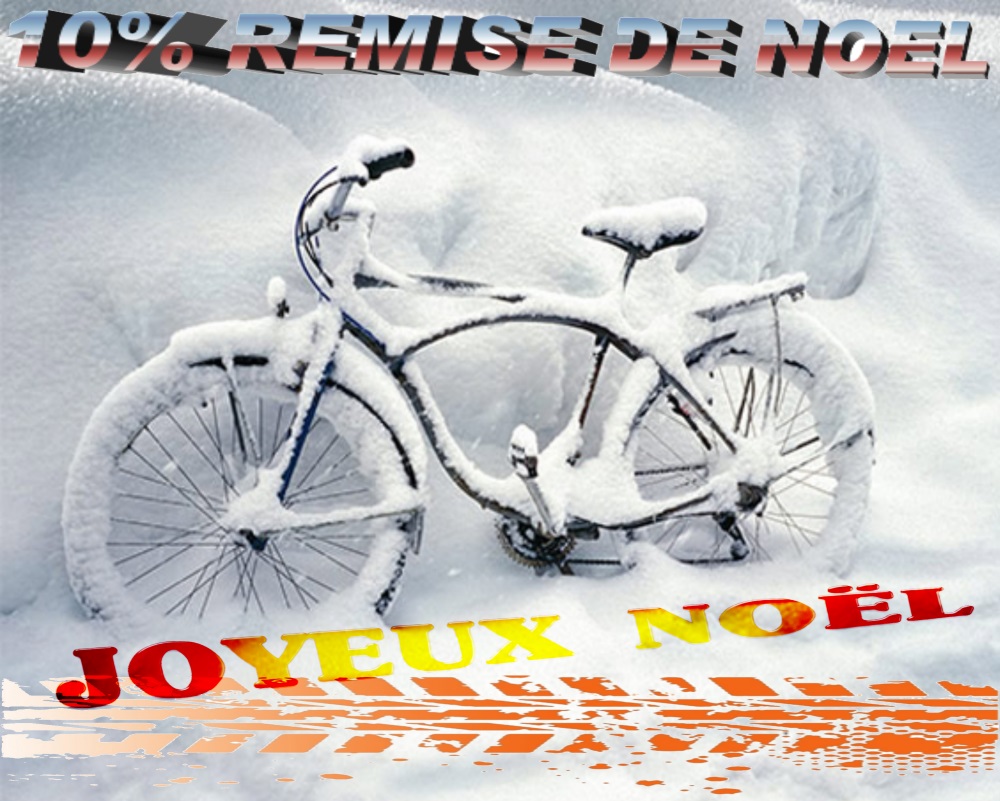 10% REMISE DE NOEL